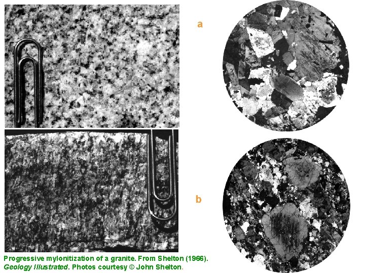 a b Progressive mylonitization of a granite. From Shelton (1966). Geology Illustrated. Photos courtesy