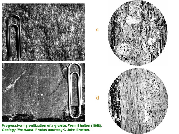 c d Progressive mylonitization of a granite. From Shelton (1966). Geology Illustrated. Photos courtesy