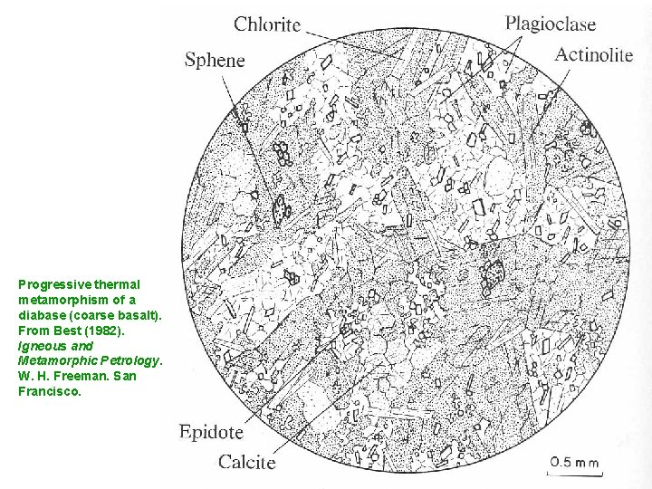 Progressive thermal metamorphism of a diabase (coarse basalt). From Best (1982). Igneous and Metamorphic