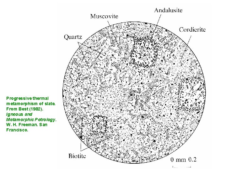 Progressive thermal metamorphism of slate. From Best (1982). Igneous and Metamorphic Petrology. W. H. Progressive thermal metamorphism of slate. From Best (1982). Igneous and Metamorphic Petrology. W. H.