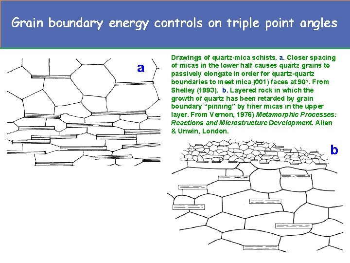 Grain boundary energy controls on triple point angles a Drawings of quartz-mica schists. a.