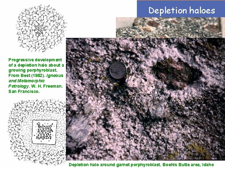 Depletion haloes Progressive development of a depletion halo about a growing porphyroblast. From Best