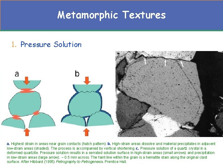 Metamorphic Textures 1. Pressure Solution a. Highest strain in areas near grain contacts (hatch
