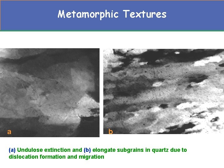 Metamorphic Textures a b (a) Undulose extinction and (b) elongate subgrains in quartz due