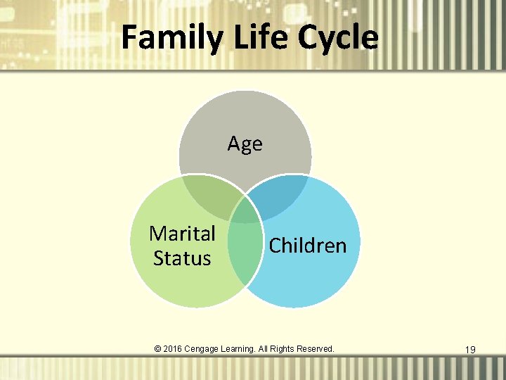 Family Life Cycle Age Marital Status Children © 2016 Cengage Learning. All Rights Reserved. Family Life Cycle Age Marital Status Children © 2016 Cengage Learning. All Rights Reserved.