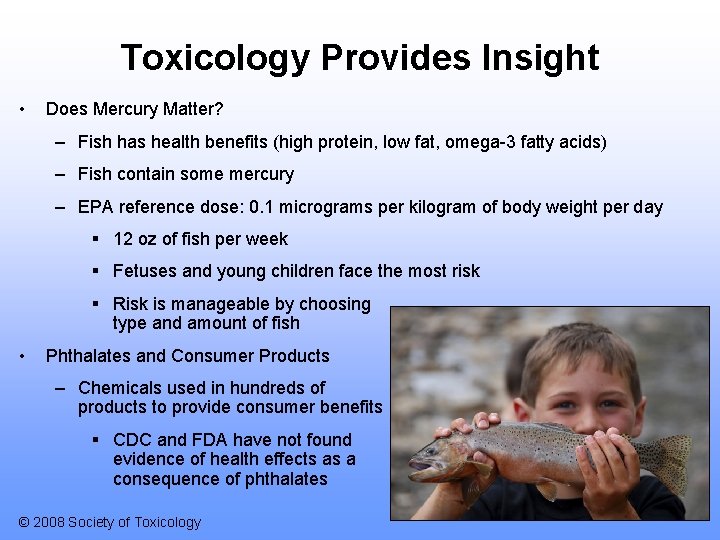 Toxicology Provides Insight • Does Mercury Matter? – Fish has health benefits (high protein,
