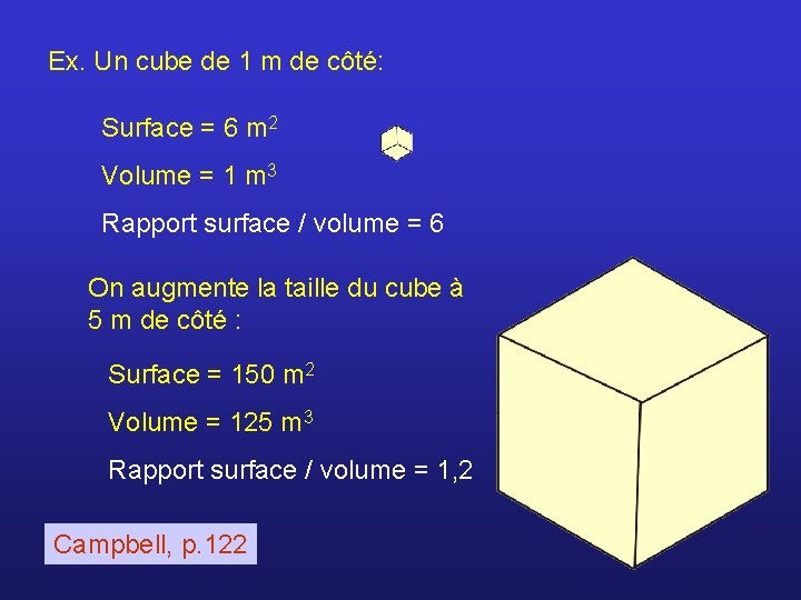 Ex. Un cube de 1 m de côté: Surface = 6 m 2 Volume