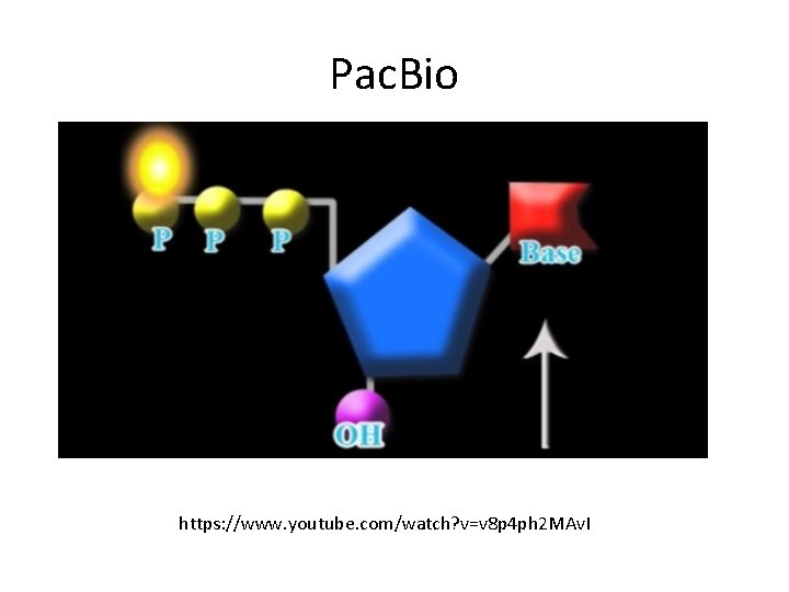 Pac. Bio https: //www. youtube. com/watch? v=v 8 p 4 ph 2 MAv. I