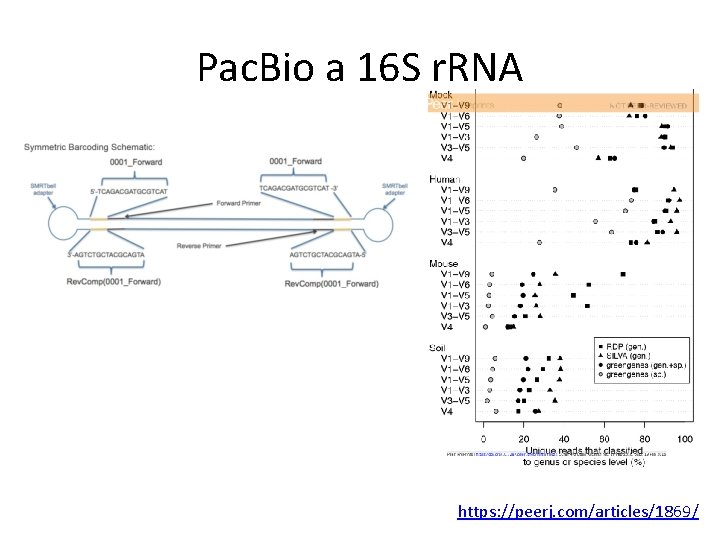 Pac. Bio a 16 S r. RNA https: //peerj. com/articles/1869/ 