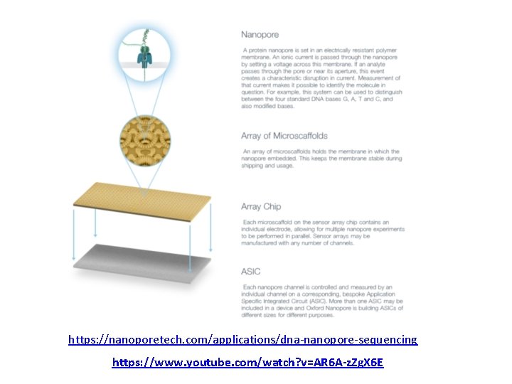 https: //nanoporetech. com/applications/dna-nanopore-sequencing https: //www. youtube. com/watch? v=AR 6 A-z. Zg. X 6 E