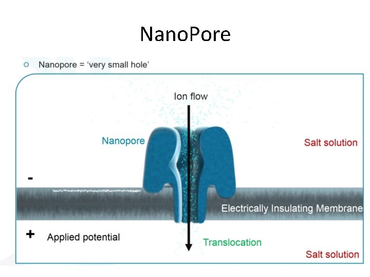 Nano. Pore 