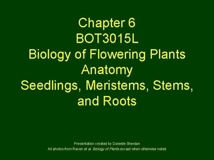 Chapter 6 BOT 3015 L Biology of Flowering Plants Anatomy Seedlings, Meristems, Stems, and