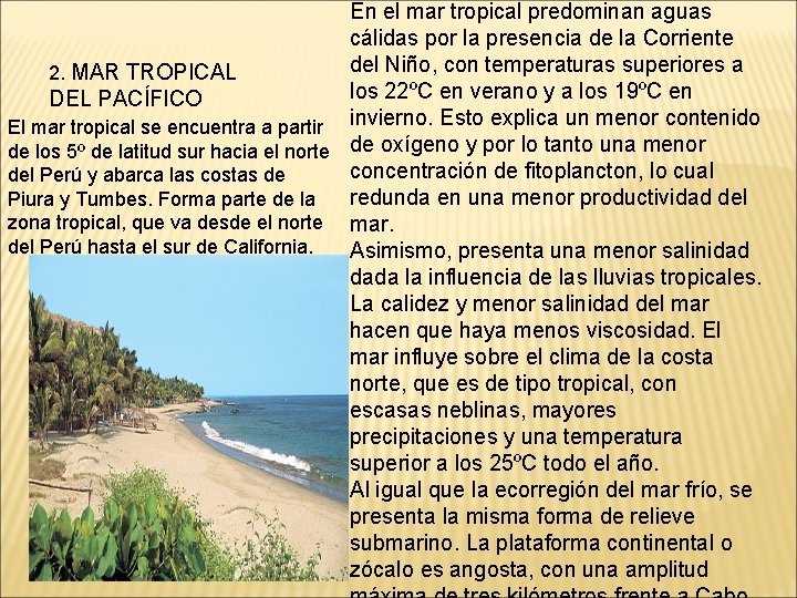 En el mar tropical predominan aguas cálidas por la presencia de la Corriente del