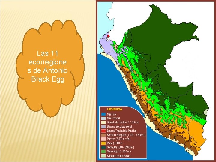 Las 11 ecorregione s de Antonio Brack Egg 