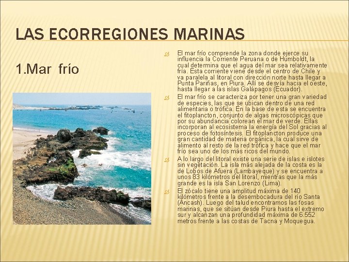 LAS ECORREGIONES MARINAS 1. Mar frío El mar frío comprende la zona donde ejerce