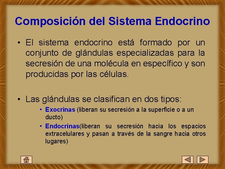 Composición del Sistema Endocrino • El sistema endocrino está formado por un conjunto de
