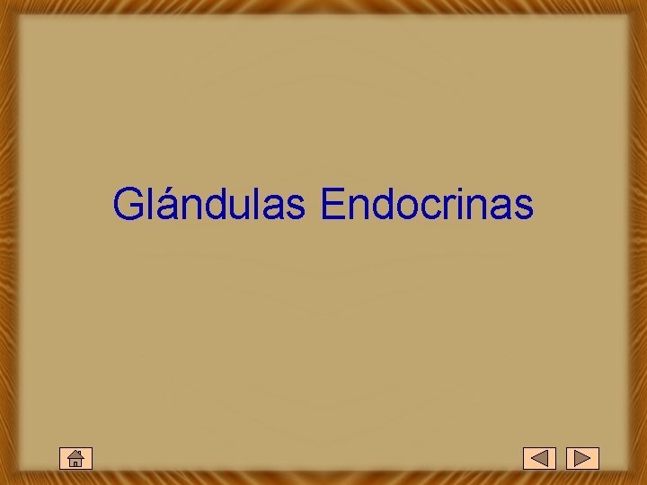 Glándulas Endocrinas 