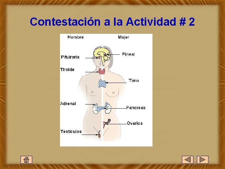 Contestación a la Actividad # 2 