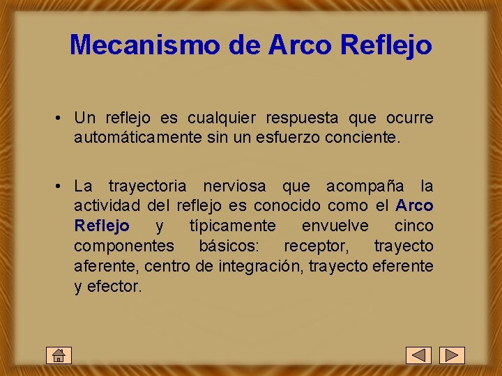 Mecanismo de Arco Reflejo • Un reflejo es cualquier respuesta que ocurre automáticamente sin