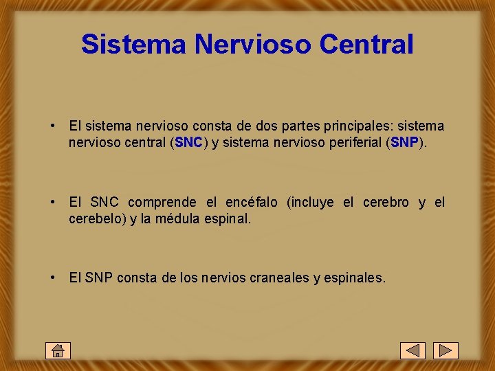 Sistema Nervioso Central • El sistema nervioso consta de dos partes principales: sistema nervioso