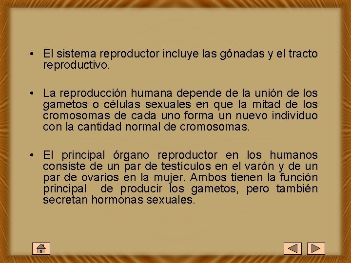  • El sistema reproductor incluye las gónadas y el tracto reproductivo. • La