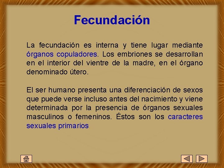 Fecundación La fecundación es interna y tiene lugar mediante órganos copuladores. Los embriones se