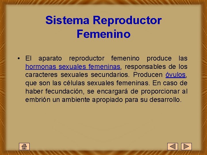 Sistema Reproductor Femenino • El aparato reproductor femenino produce las hormonas sexuales femeninas, responsables
