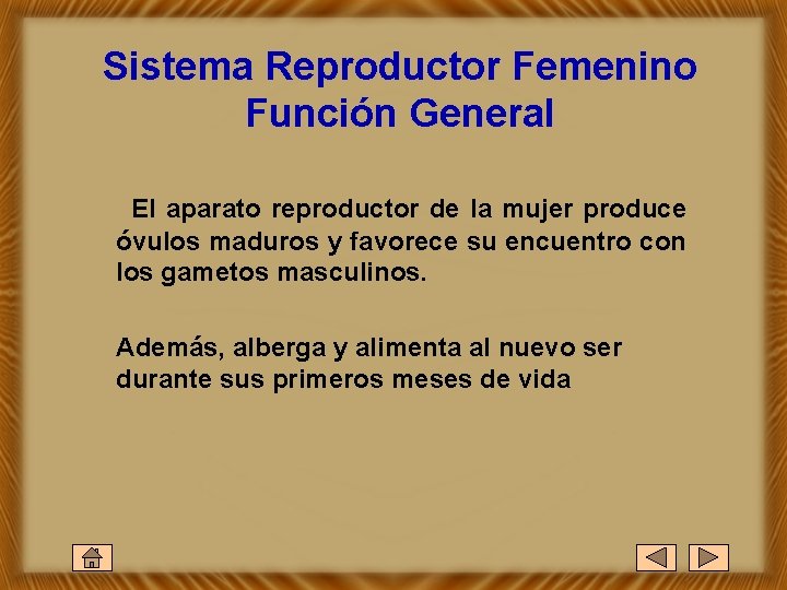 Sistema Reproductor Femenino Función General El aparato reproductor de la mujer produce óvulos maduros