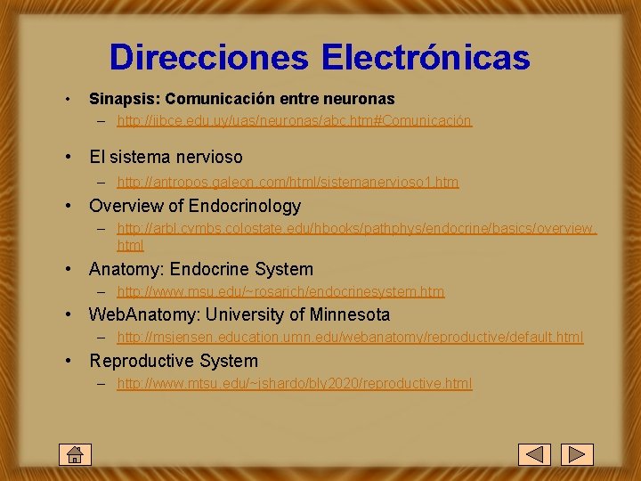 Direcciones Electrónicas • Sinapsis: Comunicación entre neuronas – http: //iibce. edu. uy/uas/neuronas/abc. htm#Comunicación •