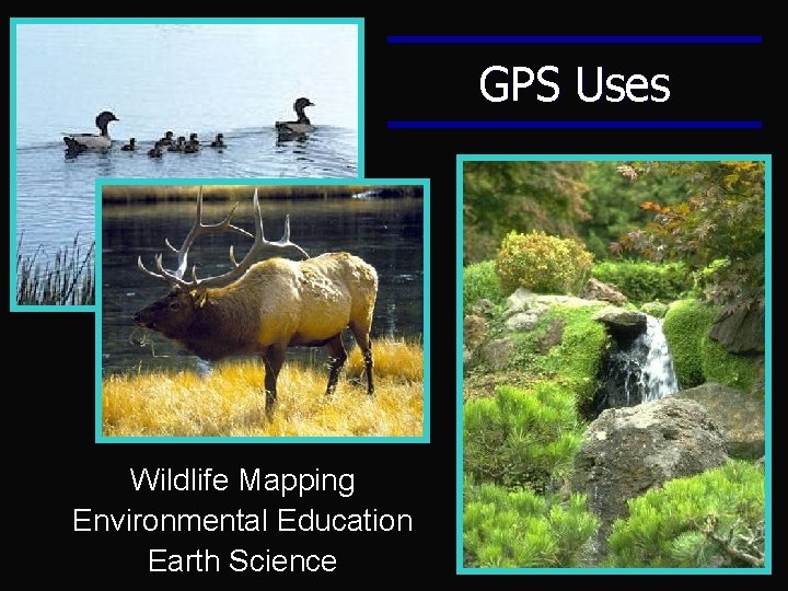 GPS Uses Wildlife Mapping Environmental Education Earth Science GPS Uses Wildlife Mapping Environmental Education Earth Science