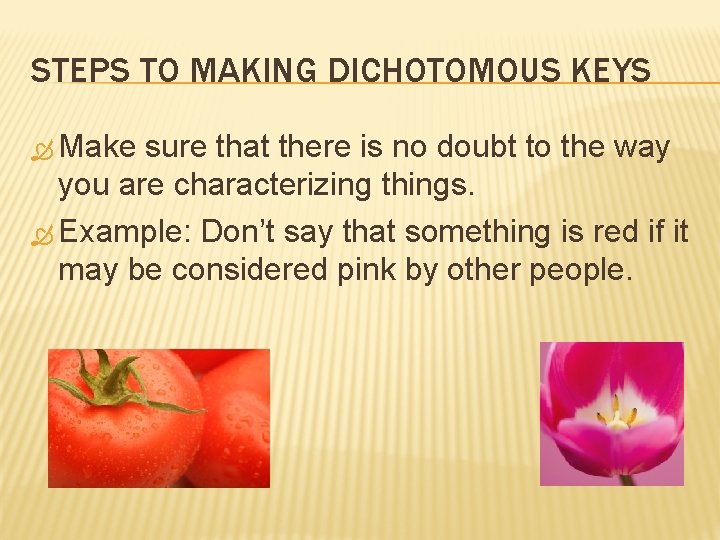 STEPS TO MAKING DICHOTOMOUS KEYS Make sure that there is no doubt to the