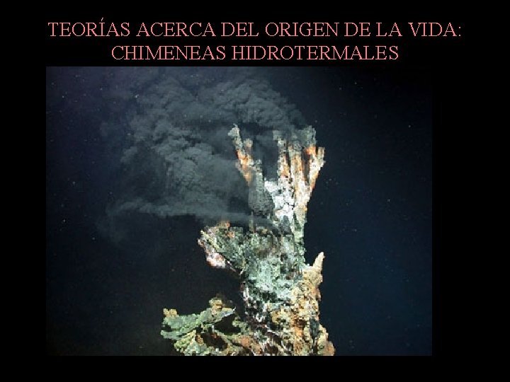 TEORÍAS ACERCA DEL ORIGEN DE LA VIDA: CHIMENEAS HIDROTERMALES 