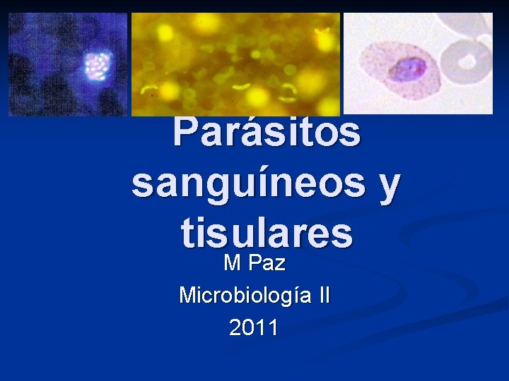 Parásitos sanguíneos y tisulares M Paz Microbiología II 2011 