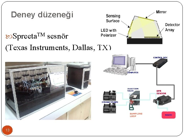 Deney düzeneği Spreeta. TM sesnör (Texas Instruments, Dallas, TX) 13 