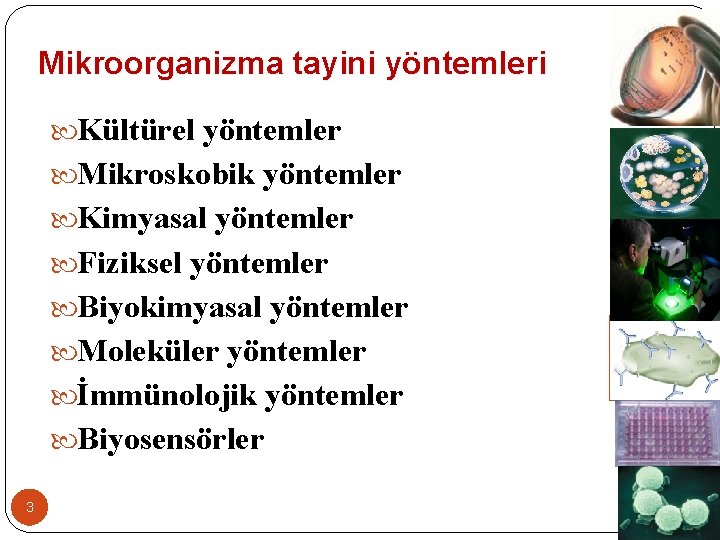 Mikroorganizma tayini yöntemleri Kültürel yöntemler Mikroskobik yöntemler Kimyasal yöntemler Fiziksel yöntemler Biyokimyasal yöntemler Moleküler