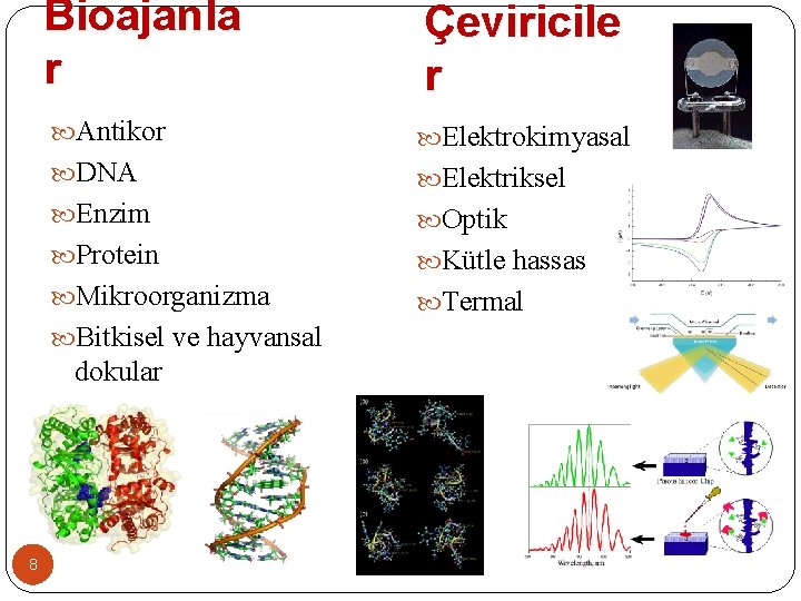Bioajanla r Çeviricile r Antikor Elektrokimyasal DNA Elektriksel Enzim Optik Protein Kütle hassas Mikroorganizma