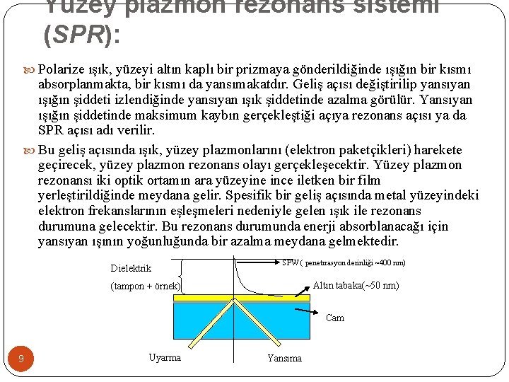 Yüzey plazmon rezonans sistemi (SPR): Polarize ışık, yüzeyi altın kaplı bir prizmaya gönderildiğinde ışığın