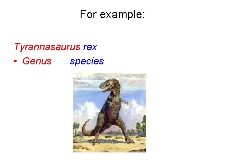 For example: Tyrannasaurus rex • Genus species 