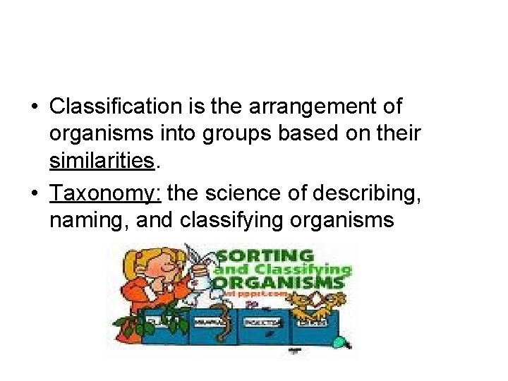  • Classification is the arrangement of organisms into groups based on their similarities.