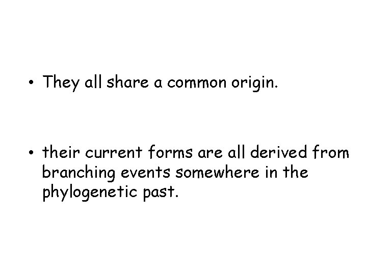  • They all share a common origin. • their current forms are all