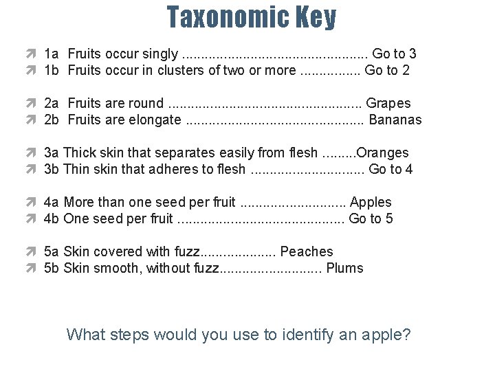 Taxonomic Key 1 a Fruits occur singly. . . Go to 3 1 b