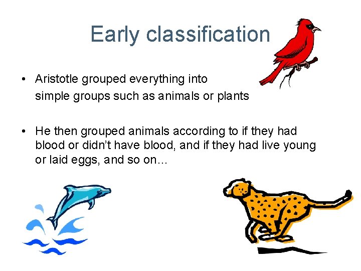 Early classification • Aristotle grouped everything into simple groups such as animals or plants