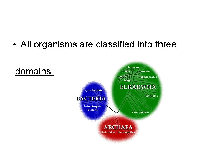  • All organisms are classified into three domains. 