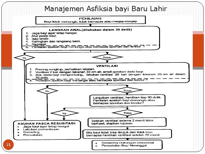 Manajemen Asfiksia bayi Baru Lahir 21 