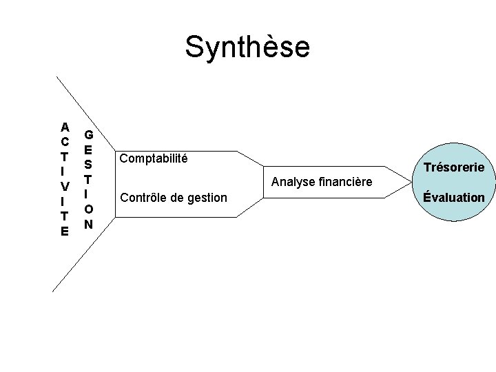 Synthèse A C T I V I T E G E S T I