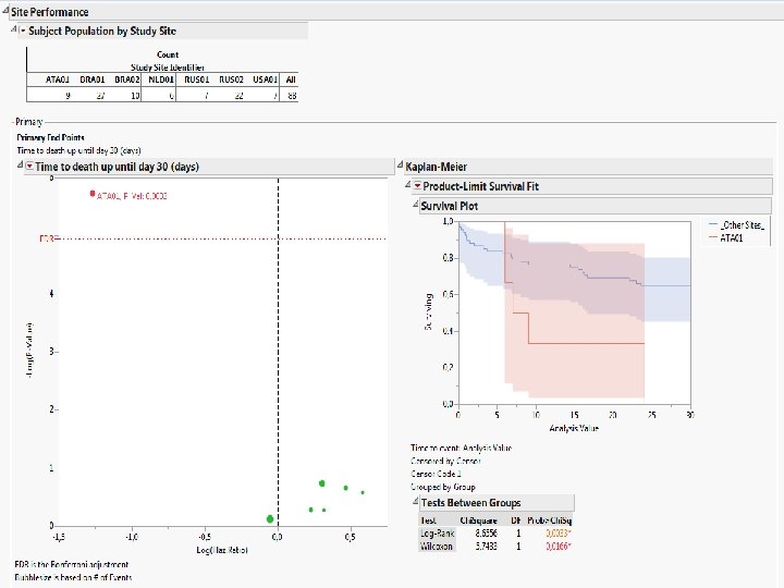 Screenshots of SAS JMP CSM template 