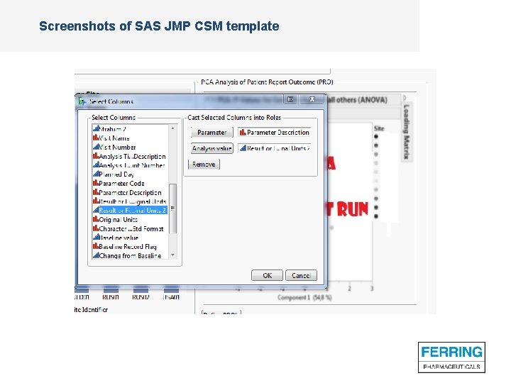Screenshots of SAS JMP CSM template 