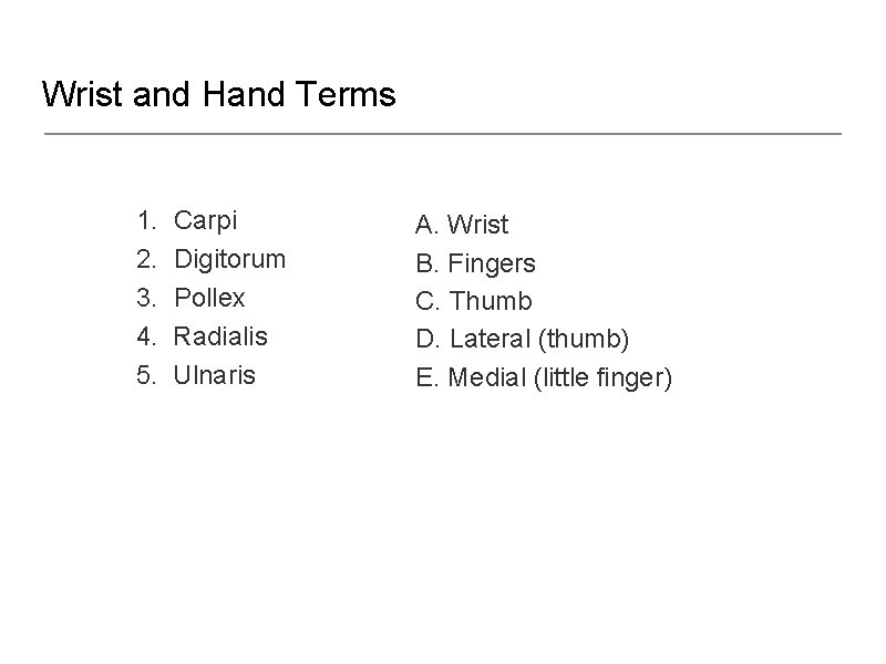 Wrist and Hand Terms 1. 2. 3. 4. 5. Carpi Digitorum Pollex Radialis Ulnaris