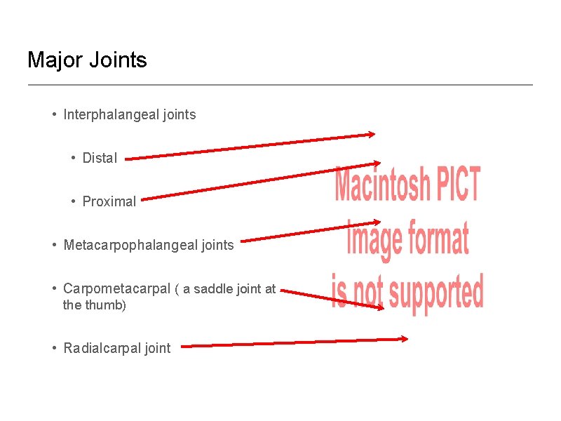 Major Joints • Interphalangeal joints • Distal • Proximal • Metacarpophalangeal joints • Carpometacarpal