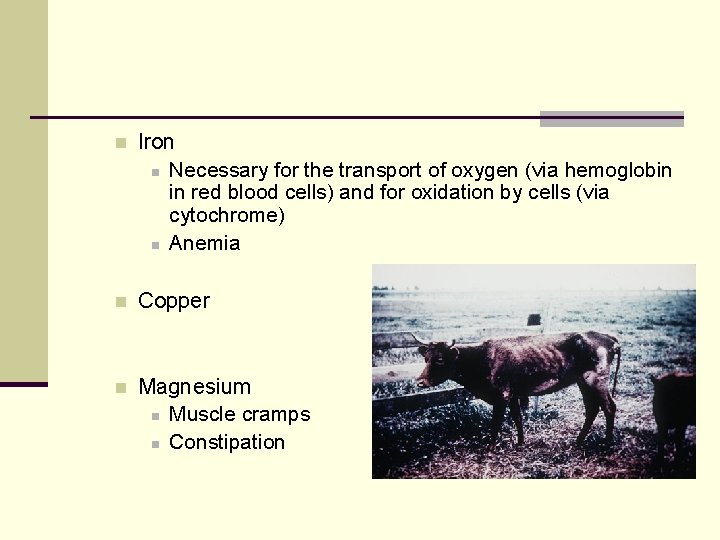 n Iron n Necessary for the transport of oxygen (via hemoglobin in red blood